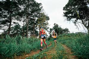 BIB: 
                            <button type="button" onclick="openModal(26034453)" class="btn btn-primary btn-sm float-right btn-popup" data-toggle="modal" data-target=".modal-high-quality">
                        <i class="fas fa-shopping-cart"></i> Add to Cart
                    </button>
                                            <button type="button" onclick="isThisMe(26034453, true)" class="btn btn-success btn-sm float-right btn-popup btn-isme hidden" data-toggle="tooltip" data-placement="bottom" title="นี่คือรูปของคุณใช่ไหม คลิกที่นี่เพื่อเอาเข้าอัลบั้ม">
                        <i class="fas fa-plus"></i> Add to album
                    </button>
                    <button type="button" onclick="isThisMe(26034453, false)" class="btn btn-warning btn-sm float-right btn-popup btn-isnotme hidden">
                        <i class="fas fa-ban"></i> Remove from album
                    </button>